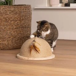 Karlie Designed By Lotte Halber Kratzball Vivi -Trixie Verkaufs-Shop 409168 10