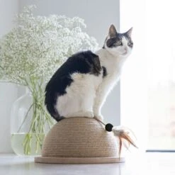 Karlie Designed By Lotte Halber Kratzball Vivi -Trixie Verkaufs-Shop 409168 5