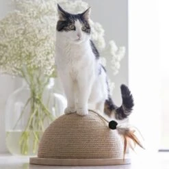 Karlie Designed By Lotte Halber Kratzball Vivi -Trixie Verkaufs-Shop 409168 8