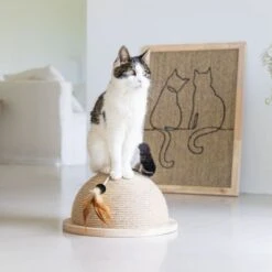 Karlie Designed By Lotte Halber Kratzball Vivi -Trixie Verkaufs-Shop 409168 9