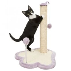 Trixie Junior Kratzpfote Mit Stamm -Trixie Verkaufs-Shop 42931 trxi 6