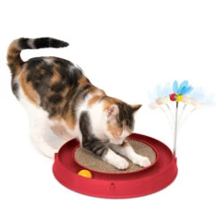 CATIT Play-n-Scratch Mit Biene - Rot