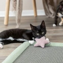 Trixie Junior Kratzmatte - 47 × 47 Cm -Trixie Verkaufs-Shop 44437 6