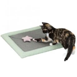 Trixie Junior Kratzmatte - 47 × 47 Cm -Trixie Verkaufs-Shop 44437 7
