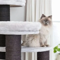 Trixie Kratzbaum XXL Tulio 23 Trixie Kratzbaum XXL Tulio -Trixie Verkaufs-Shop 44717 11