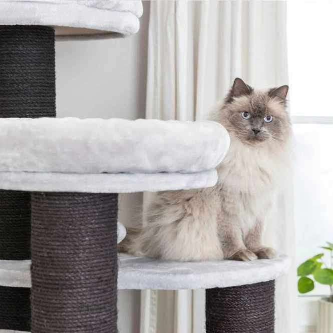 Trixie Kratzbaum XXL Tulio 12 Trixie Kratzbaum XXL Tulio – Bild 12