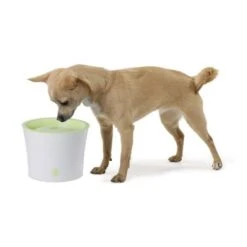 CATIT Fresh+Clear Trinkbrunnen 3L - Lindgrün -Trixie Verkaufs-Shop 55600 hagen11