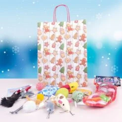 Weihnachtstüte Voller Katzenspielzeug