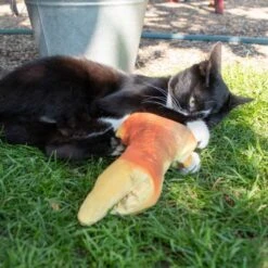 Robocat Goldfisch - 30 Cm -Trixie Verkaufs-Shop robo001 hac 4