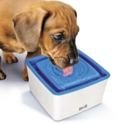 Zeus Mini-Trinkbrunnen Für Kleine Hunde