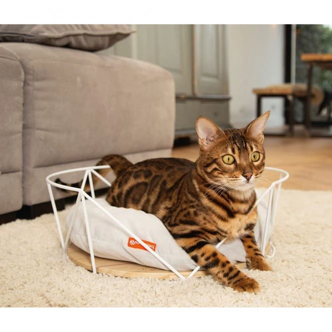 Trixie Verkaufs-Shop -Trixie Verkaufs-Shop 707264